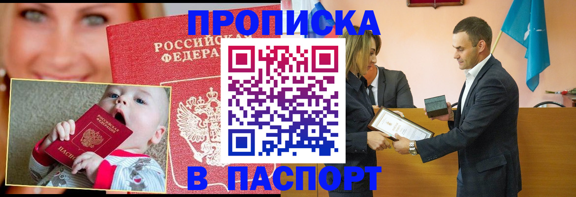 прописка поиск в Дмитрове